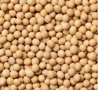 Soybeans 1kg