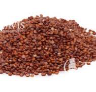 Red Quinoa