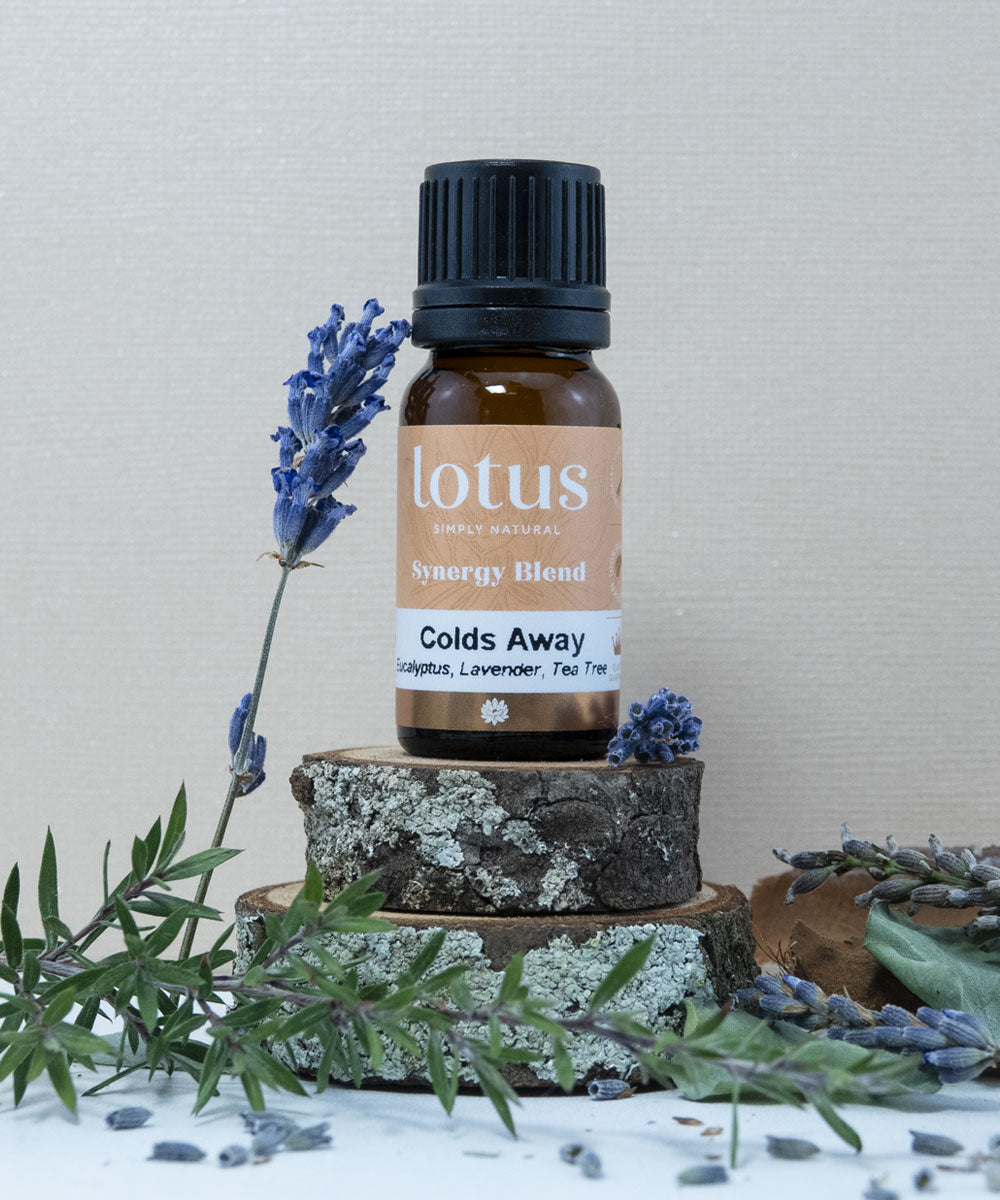Lotus Colds Away Synergy Blend