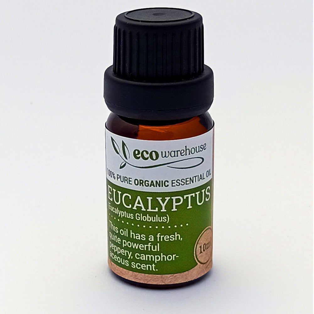 Eco Warehouse Essential Oil - Eucalyptus