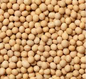 Soybeans 1kg