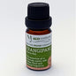 Eco Warehouse Essential Oil - Frangipani